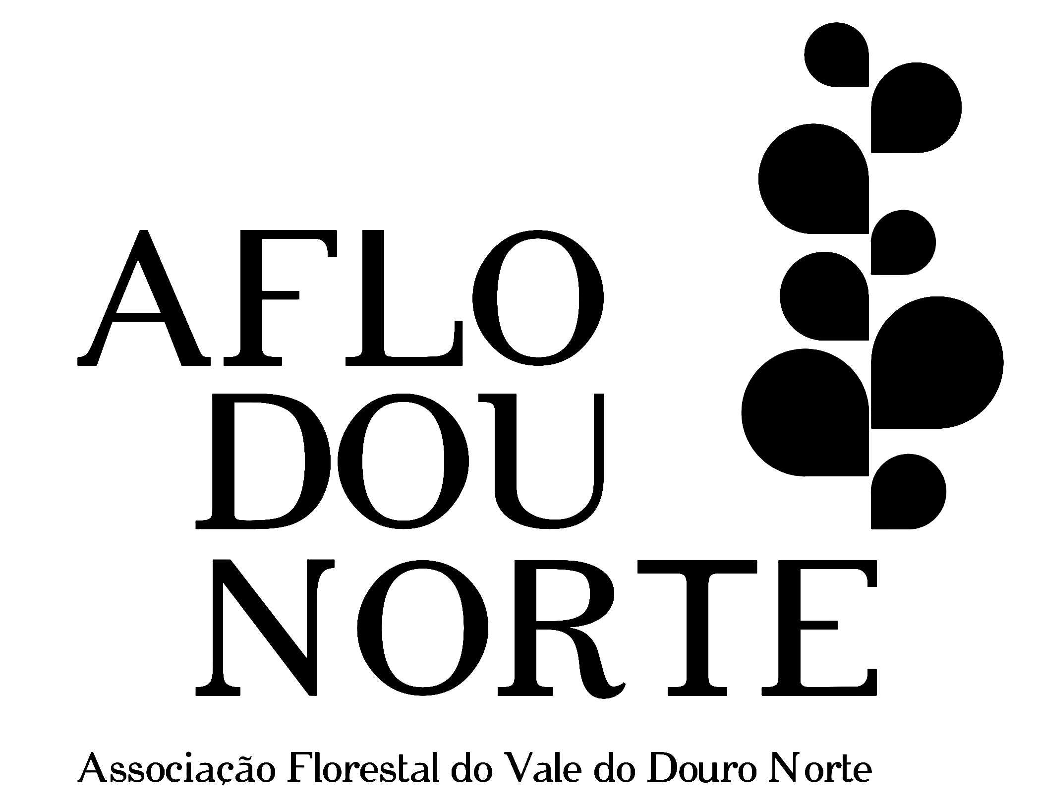 Aflodonorte